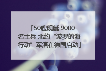 50艘舰艇 9000名士兵 北约“波罗的海行动”军演在德国启动
