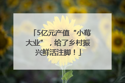 5亿元产值“小莓大业”，给了乡村振兴鲜活注脚！