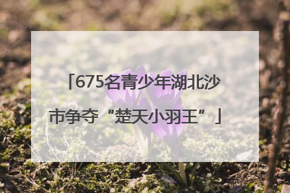 675名青少年湖北沙市争夺“楚天小羽王”