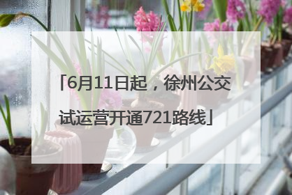 6月11日起，徐州公交试运营开通721路线