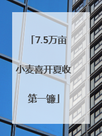 7.5万亩小麦喜开夏收第一镰