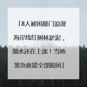8人被困厦门浪漫海岸线红树林淤泥，潮水还在上涨！当地紧急救援全部脱困