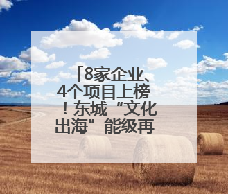 8家企业、4个项目上榜！东城“文化出海”能级再提升