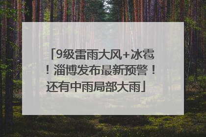 9级雷雨大风+冰雹！淄博发布最新预警！还有中雨局部大雨