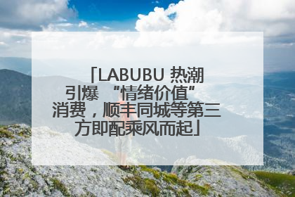 LABUBU 热潮引爆 “情绪价值” 消费，顺丰同城等第三方即配乘风而起