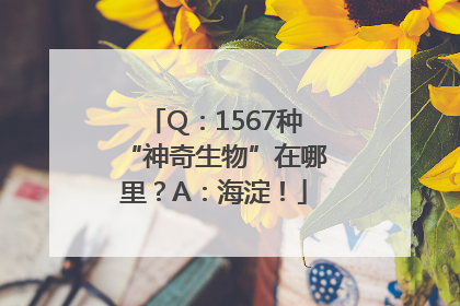 Q：1567种“神奇生物”在哪里？A：海淀！