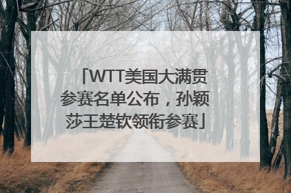 WTT美国大满贯参赛名单公布，孙颖莎王楚钦领衔参赛